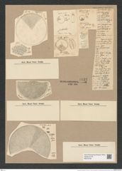 Coscinodiscus subtilis Ehr. (de-Toni-Nr.: Genus 202, Species 4941) Zeichnungen Sammlung Grunow Nr. 8531 (NHMW-BOT-W0378160)